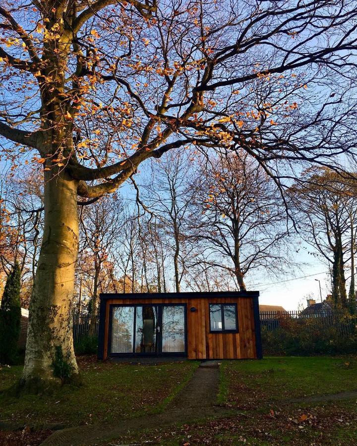 Cozy Snowdonia Chalet เคอร์นาวอน ภายนอก รูปภาพ